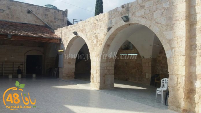 wafd academy luduh3 (2).jpg